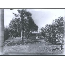 The Domain, Dannevirke, N.Z.