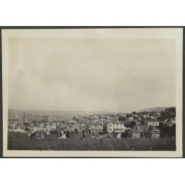 Dunedin overlooking houses