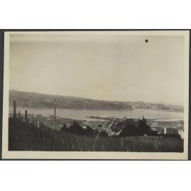 Dunedin harbour taken from a hill