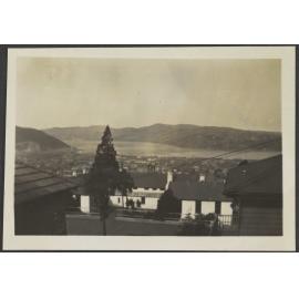 Houses with Dunedin harbour in the background