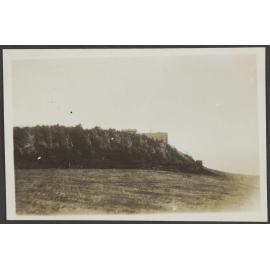 Semi-fallen trees with large building in background