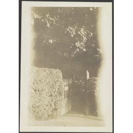 Wooden gate surrounded by bushes
