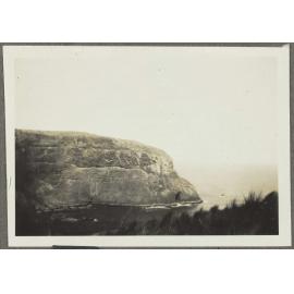 Cliff at Cape Saunders