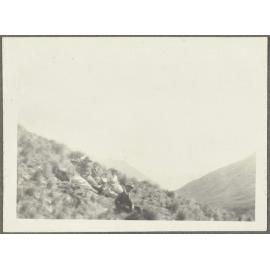 Five people sitting on grass bank