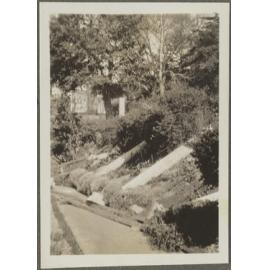 'After the gale October 1931, Manono'