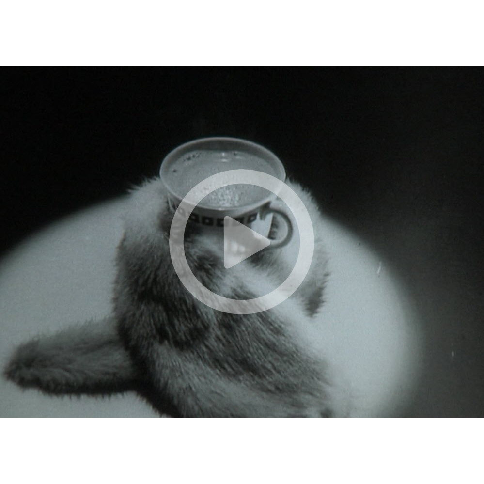 Cadbury's Drinking Chocolate, 'The drink that's as warm as mink'