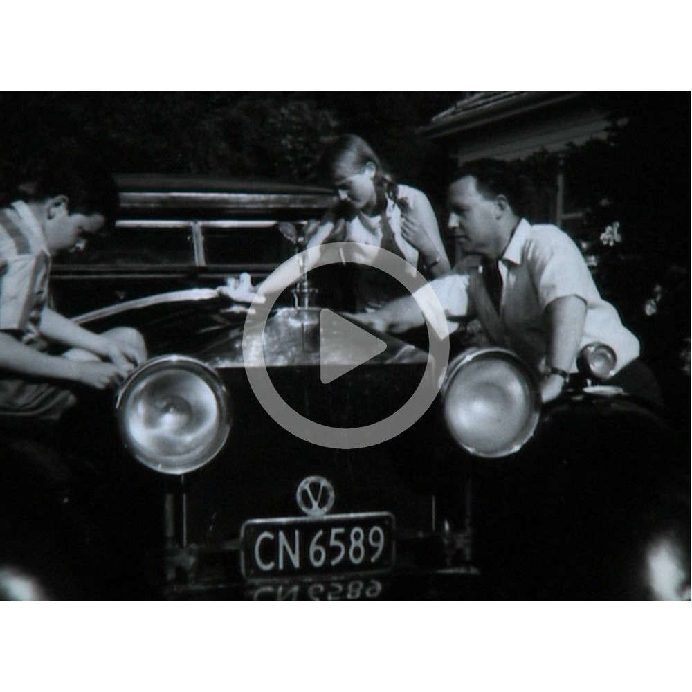 Hudsons Butter Bran Cookies