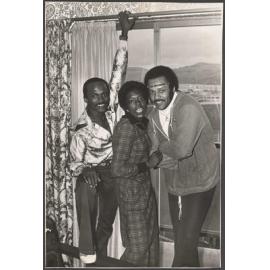 Hues Corporation, Dunedin