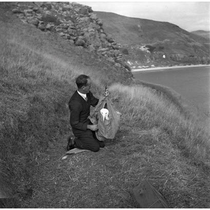 Richdale, Lancelot Eric : Papers