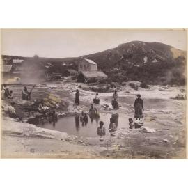 In the Ngāwhas, Whakarewarewa