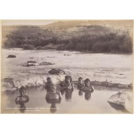 In the Puias, Tokaanu, Lake Taupo, King Country