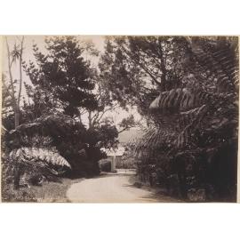 McNab's Gardens, Hutt, Wellington