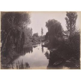 Omaka River, Blenheim