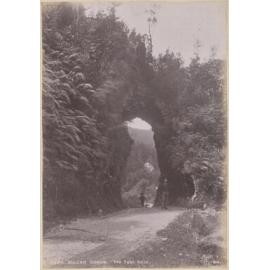 Buller Gorge, The Fern Arch