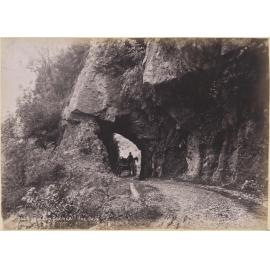 Buller Gorge, The Cave