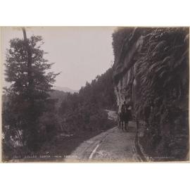 Buller Gorge, near Berlin's