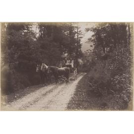 The Avenue, West Coast Road