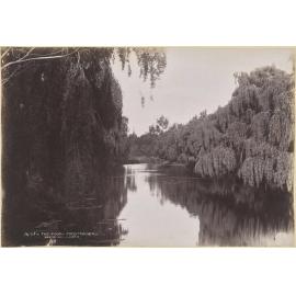 The Avon, Christchurch