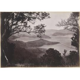 Port Chalmers from near Junction