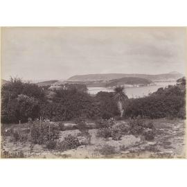 Dunedin from Andersons Bay N.Z.