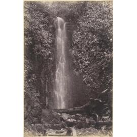 Nichol's Creek Fall, Dunedin