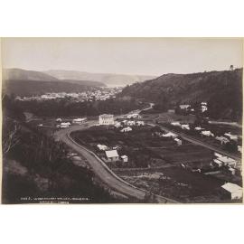 Woodhaugh Valley, Dunedin