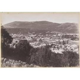 Dunedin