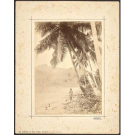 Pango Pango Harbour, Samoa