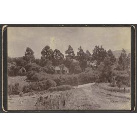 Junction of Taieri Road and Berwick Street