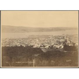 Dunedin from Littlebourne