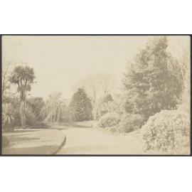 Main drive, Seacliff Hospital