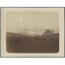 Pastoral scene