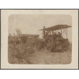 Harvesting at Gladbrook