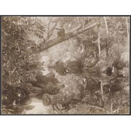 Whare Creek