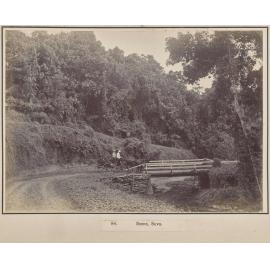 Scene, Suva