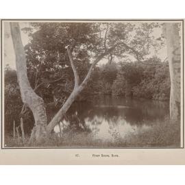 River Scene, Suva