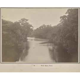 River Scene, Suva