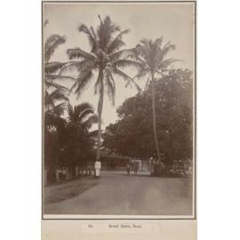 Street Scene, Suva