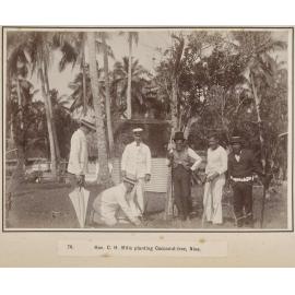 Hon. C.H. Mills planting Cocoanut-tree, Niue