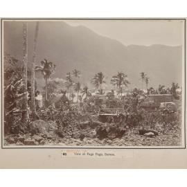 View at Pago Pago, Samoa