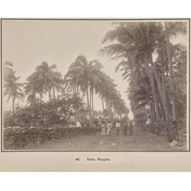 Scene, Mangaia