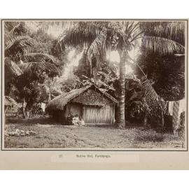 Native Hut, Rarotonga