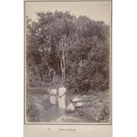 Scene, Rarotonga