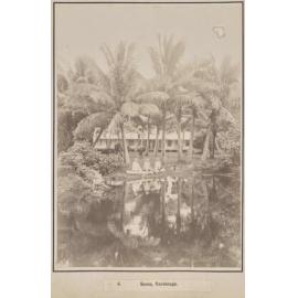 Scene, Rarotonga