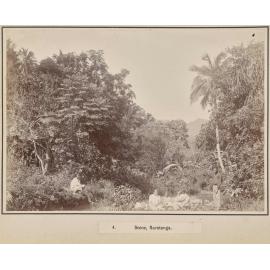 Scene, Rarotonga