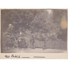 Ned Black