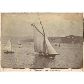 Wellington Harbour