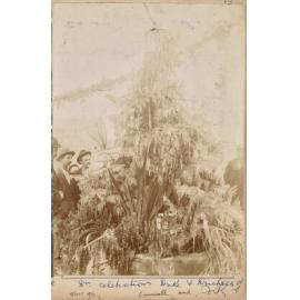 Dunedin celebrations,  Duke and Duchess of Cornwall and York