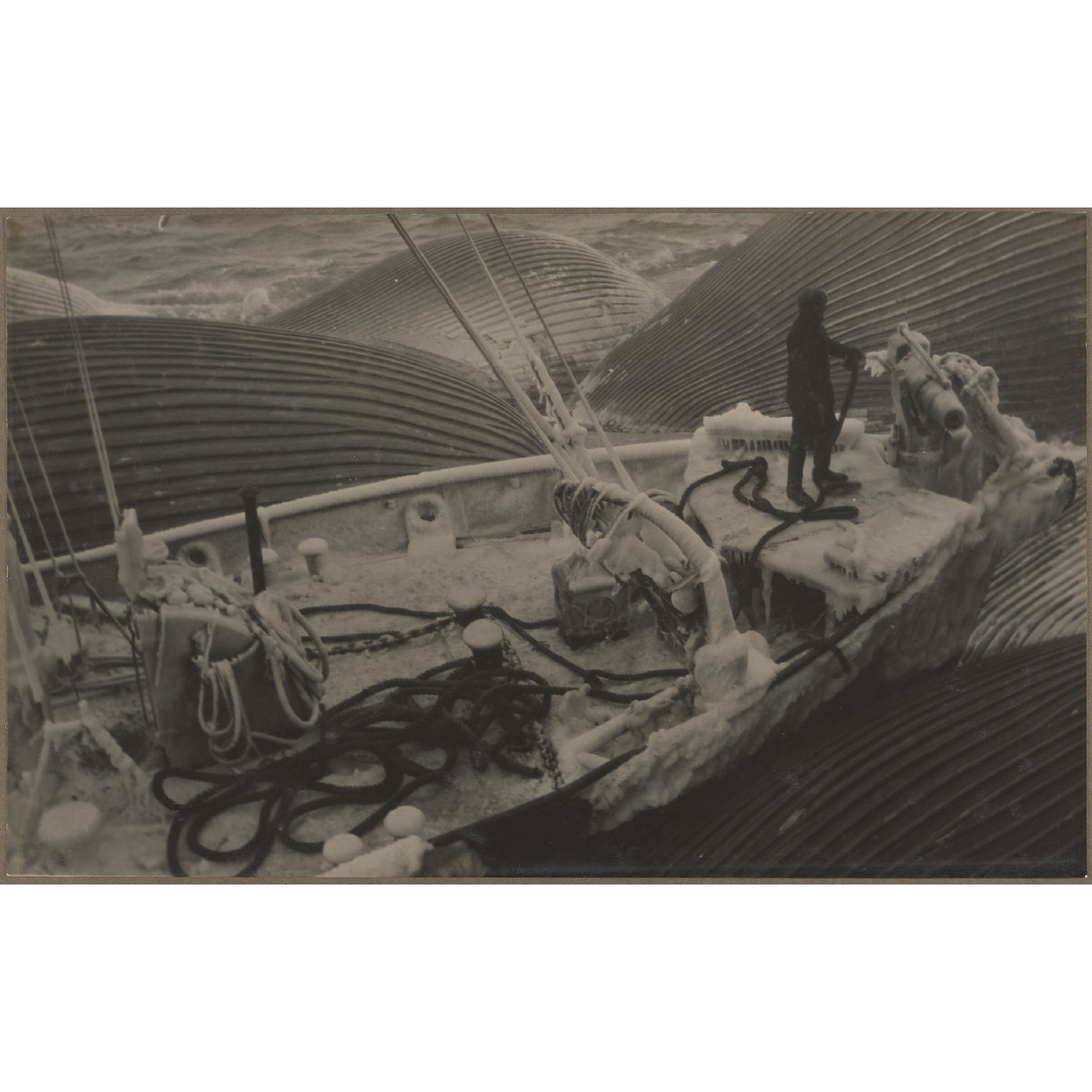 Hvalfangerselskap Rosshavet whaling company photograph album