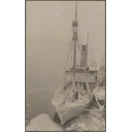 Two whale-catchers